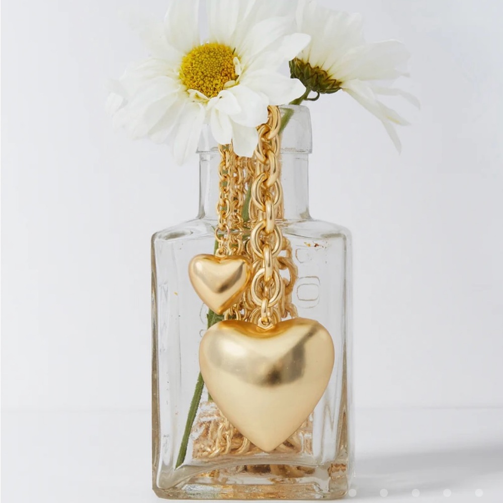Set Of 2 Roxanne Assoulin The Big & Mini Puffy Heart Necklace in Gold Firm Price